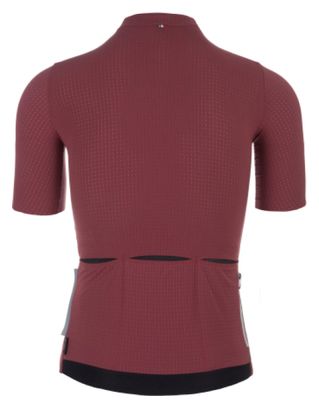 Maillot Manches Courtes Q36.5 Pinstripe PRO Marron