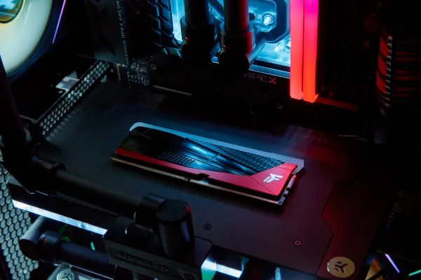 Kingston FURY Renegade RGB - Limited Edition - DDR5 - sæt - 48 GB: 2 x 24 GB - DIMM 288-PIN - 8000 MT/s / PC5-64000 - CL36 - 1.45 V - on-die ECC