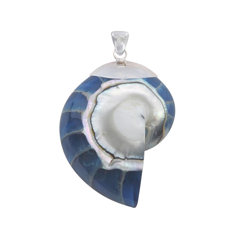Pendentif Argent Nautile Coquillage et Résine
