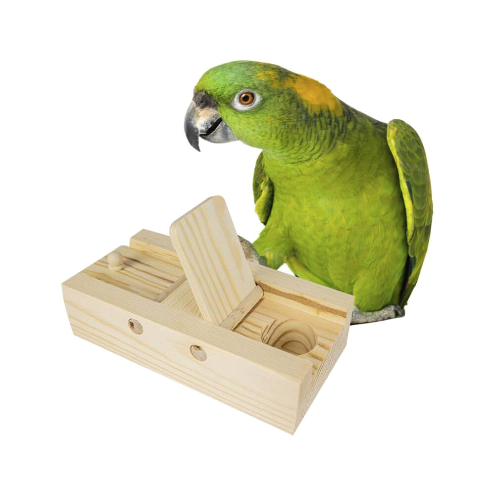 Back Zoo Nature Brain Trainer Flaps