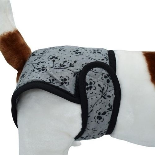 Calcinhas pretas leais para cachorros