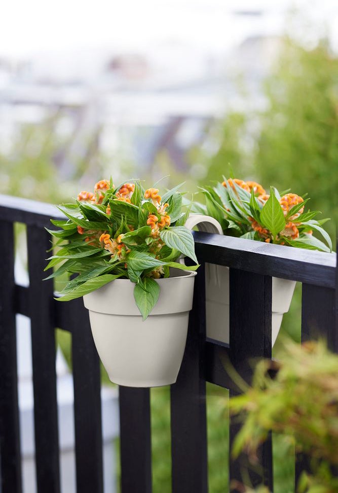Elho balkonbak Vibia Campana Flower Twin wit 20,5 x 38,4 x 26,5 cm