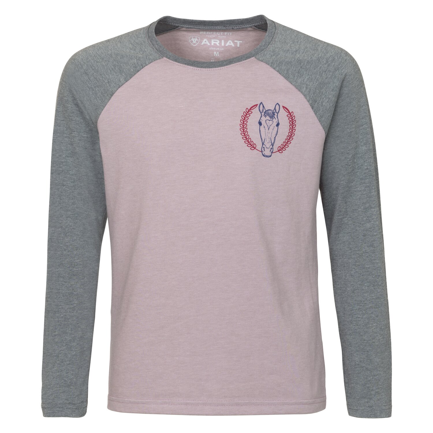 ARIAT Langarmshirt Heart Star  - purple dove / heather / heather grey