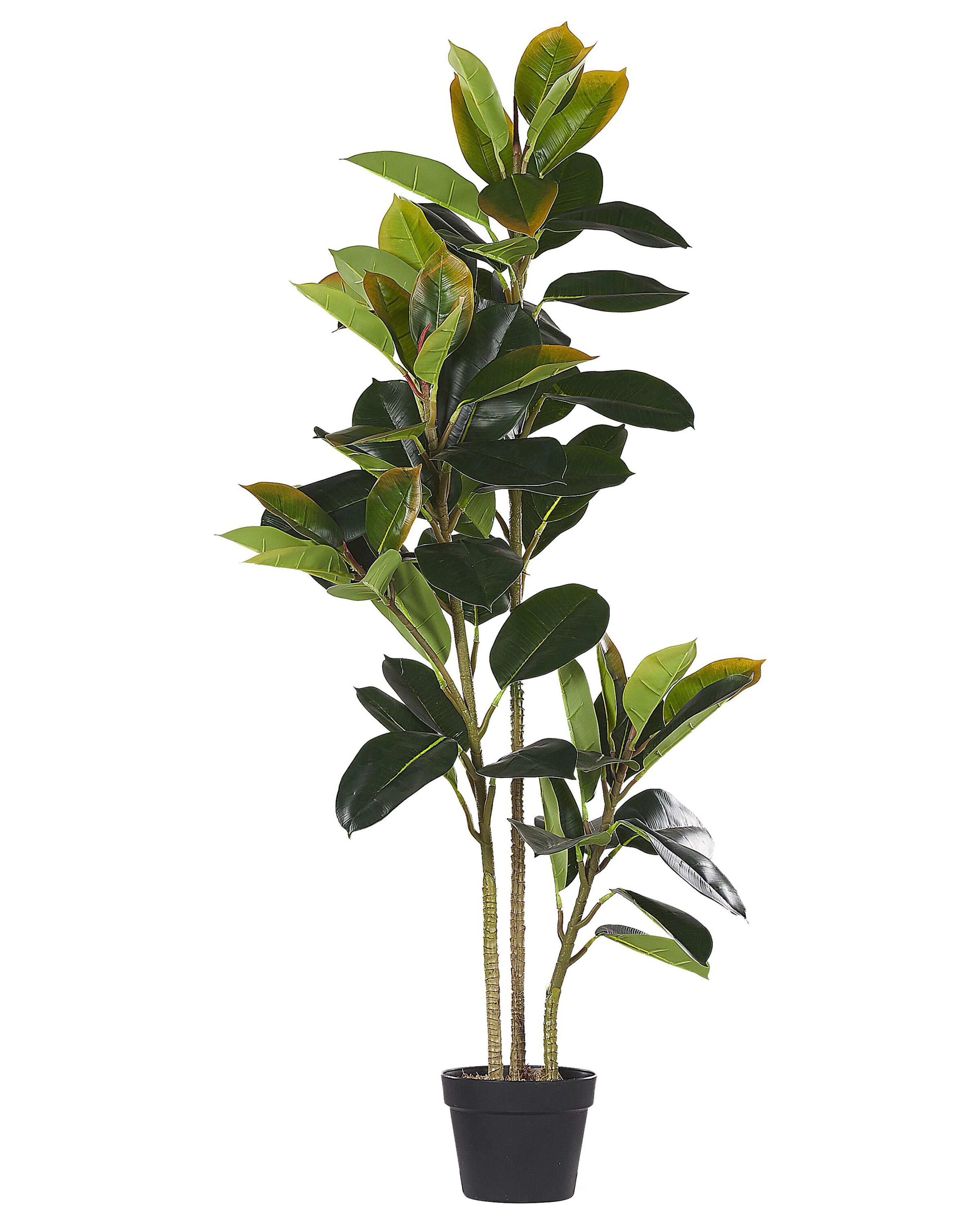 Kunstplant FICUS ELASTICA 134 cm Groen