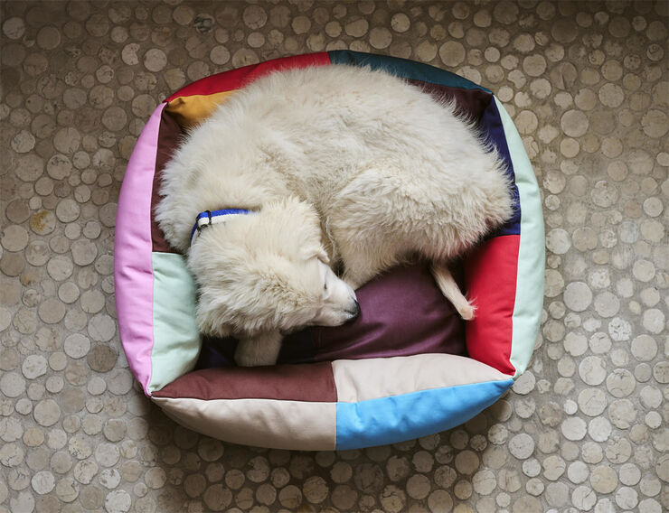 Hay HAY Dogs Bed-Small-Multi