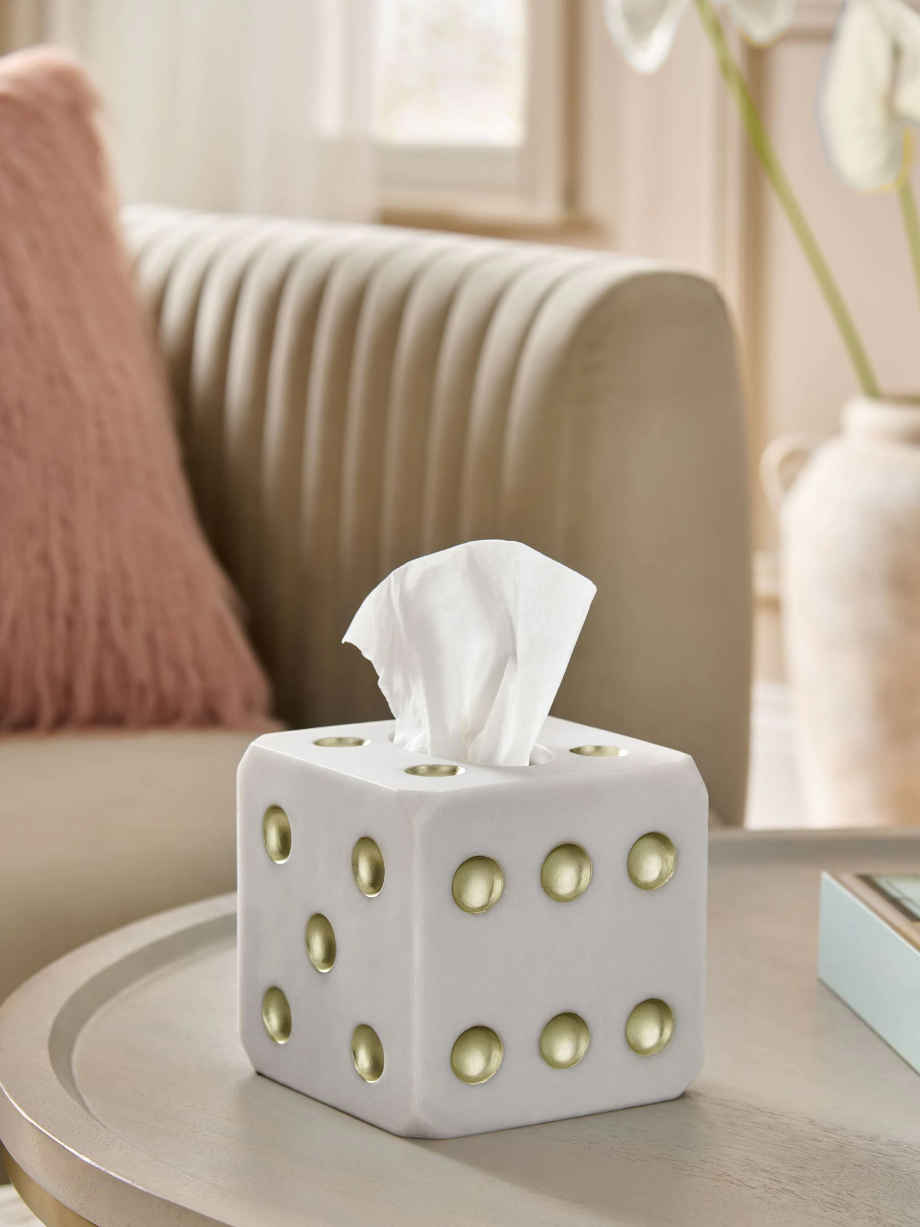 Dice Tissue Box