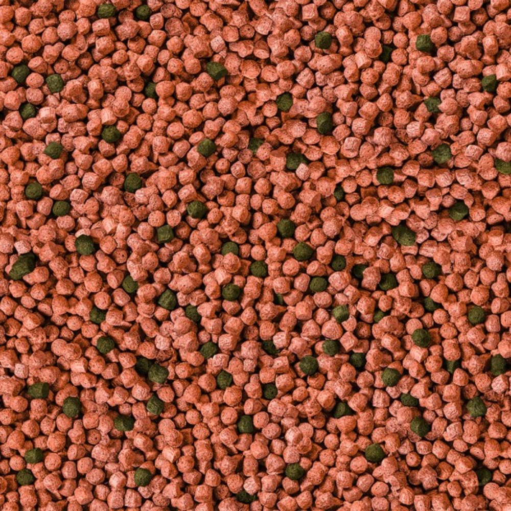 5kg koi junior all seasons probiotic