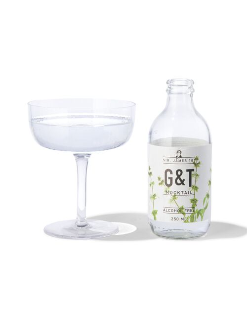 G&T sans alcool 250ml