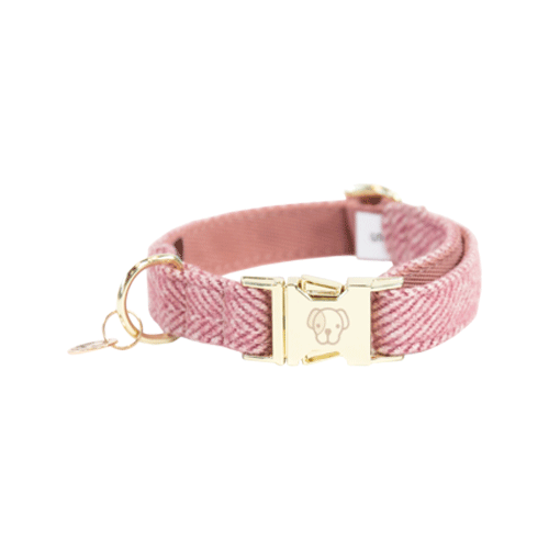 Kentucky Dogwear Hondenhalsband Wool