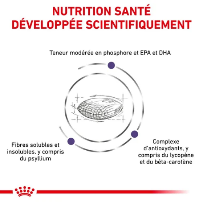 Croquettes Royal Canin Expert Mature Consult Balance Senior Consult Stage 1 Balance