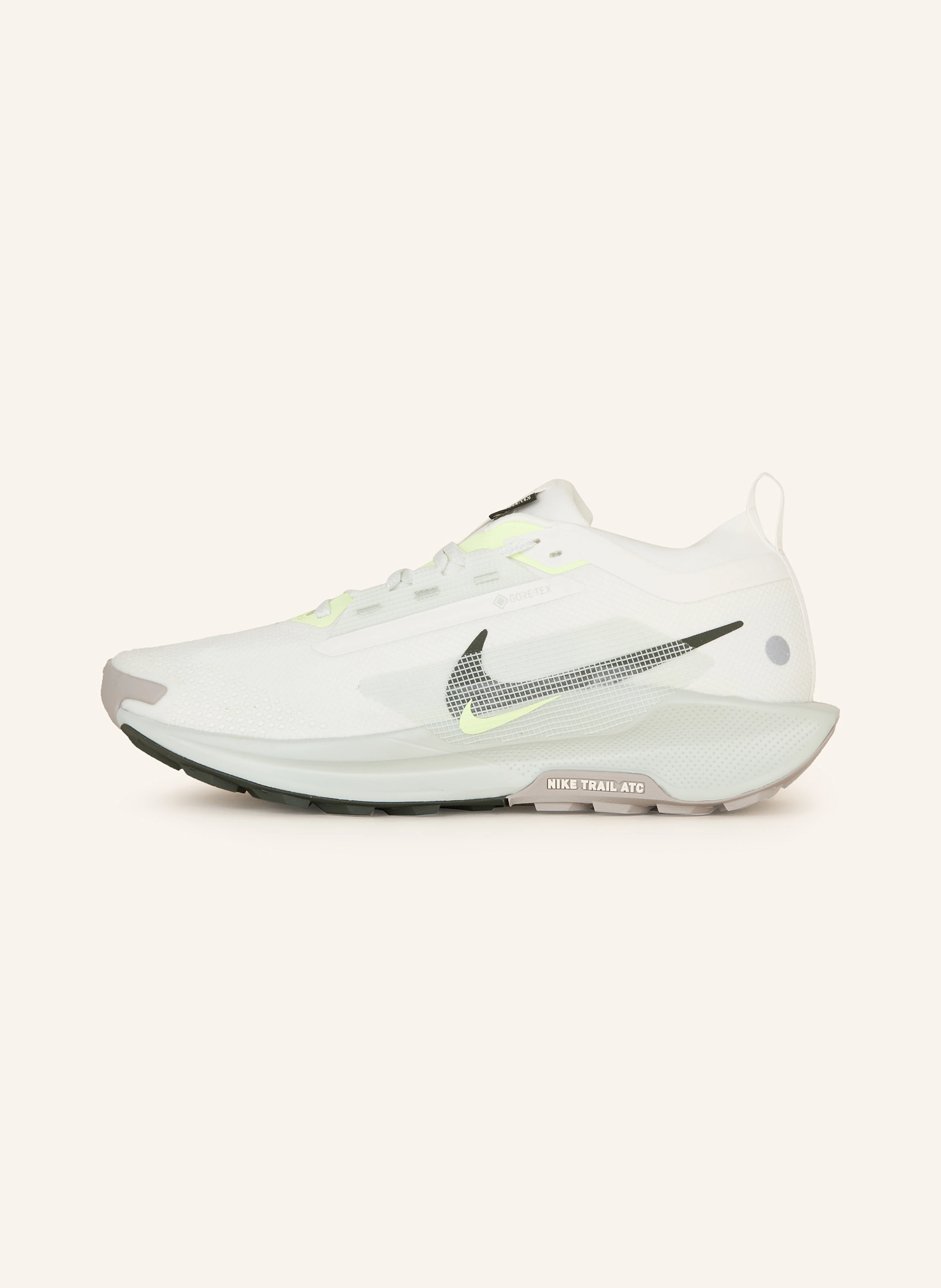 Nike Trailrunning-Schuhe PEGASUS TRAIL 5 GTX