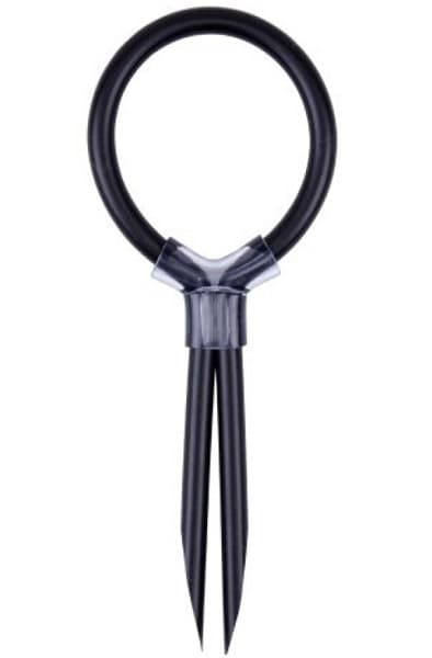 Chisa Stud Cock Ring Penisring