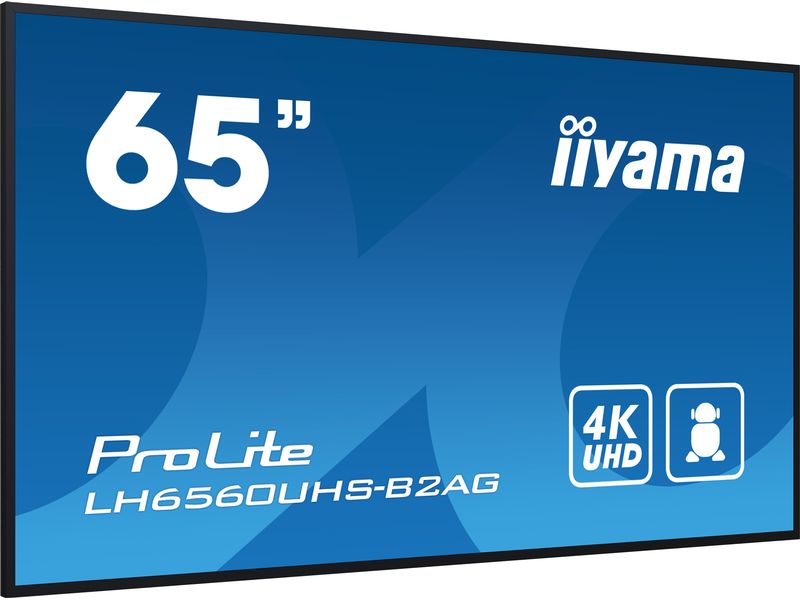 iiyama Public Display ProLite LH6560UHS-B2AG 65 