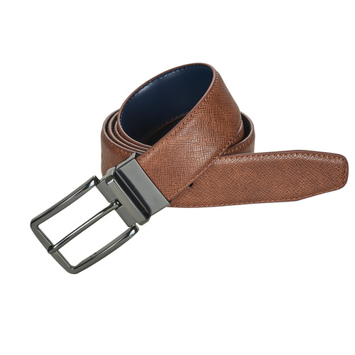 Aldo - PILOSELLUS - Marron