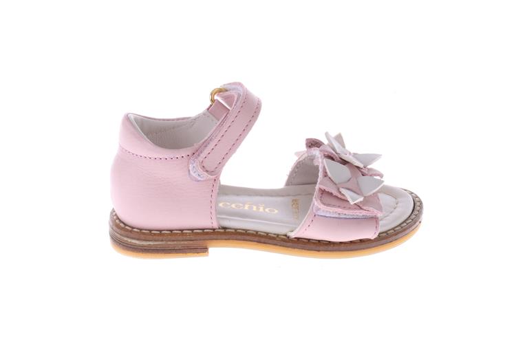 Pinocchio P1877 82CO KC Roze K-combi