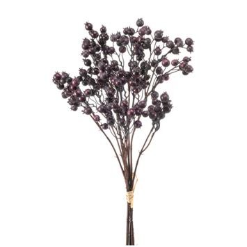 Berry bundle paars 60cm
