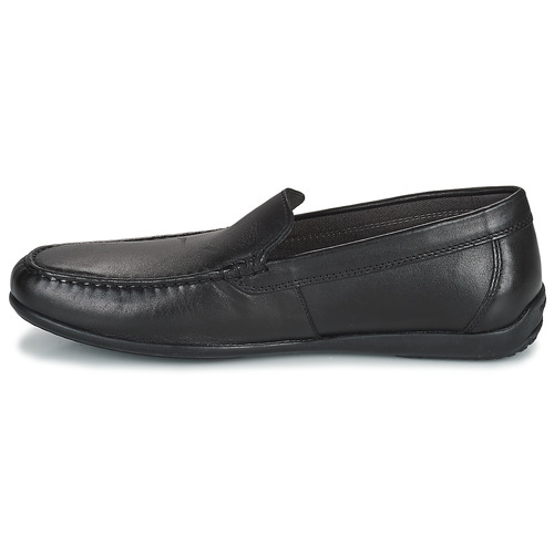 Geox - U ASCANIO - Noir