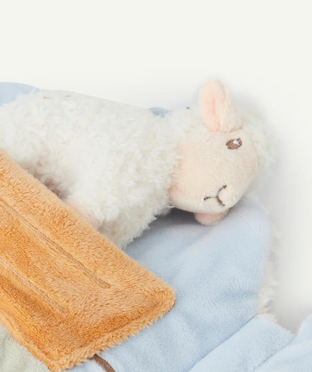 LITTLE DUTCHLIVRE D'ACTIVITÉS TOUT DOUX