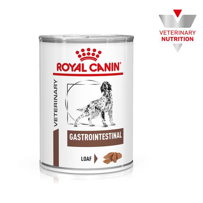 Royal Canin Veterinary Canine Gastrointestinal en mousse