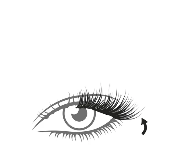 Artdeco Magnetic Lashes