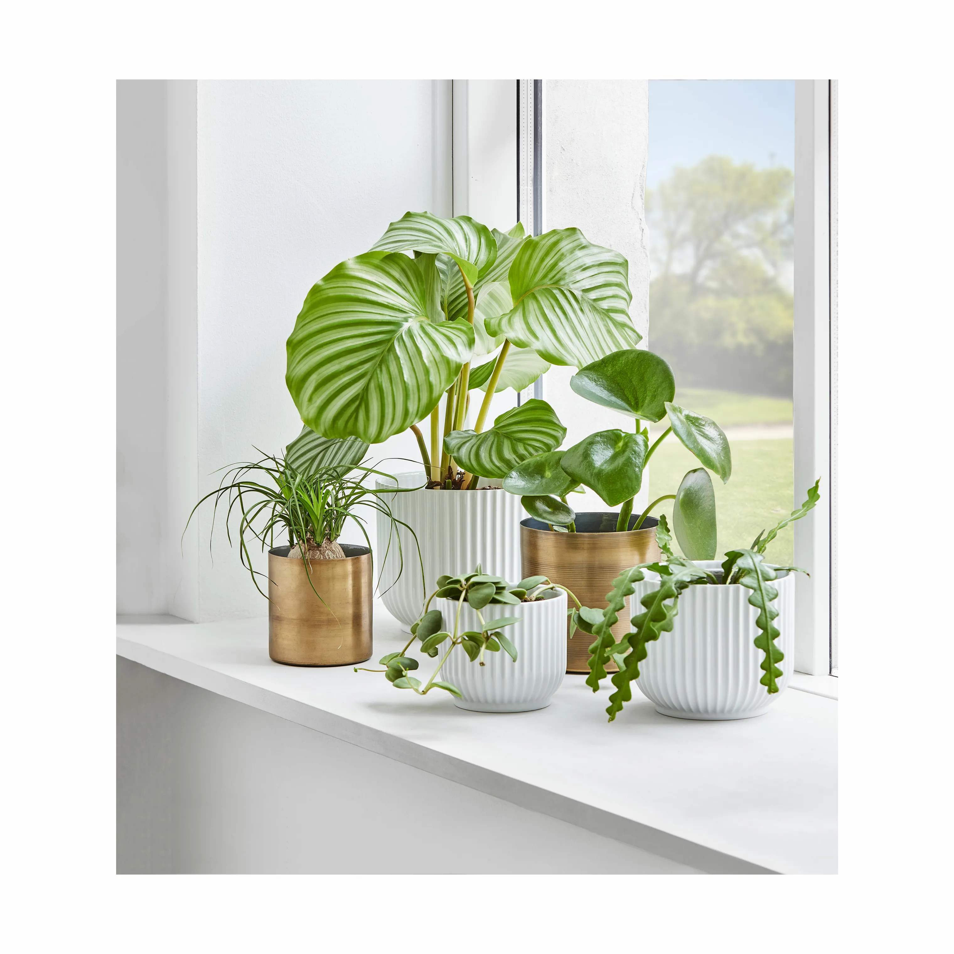 Lyngby Porcelæn Flowerpot Urtepotteskjuler