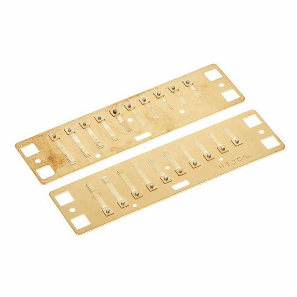 Lee Oskar Harmonic Minor Reedplates G