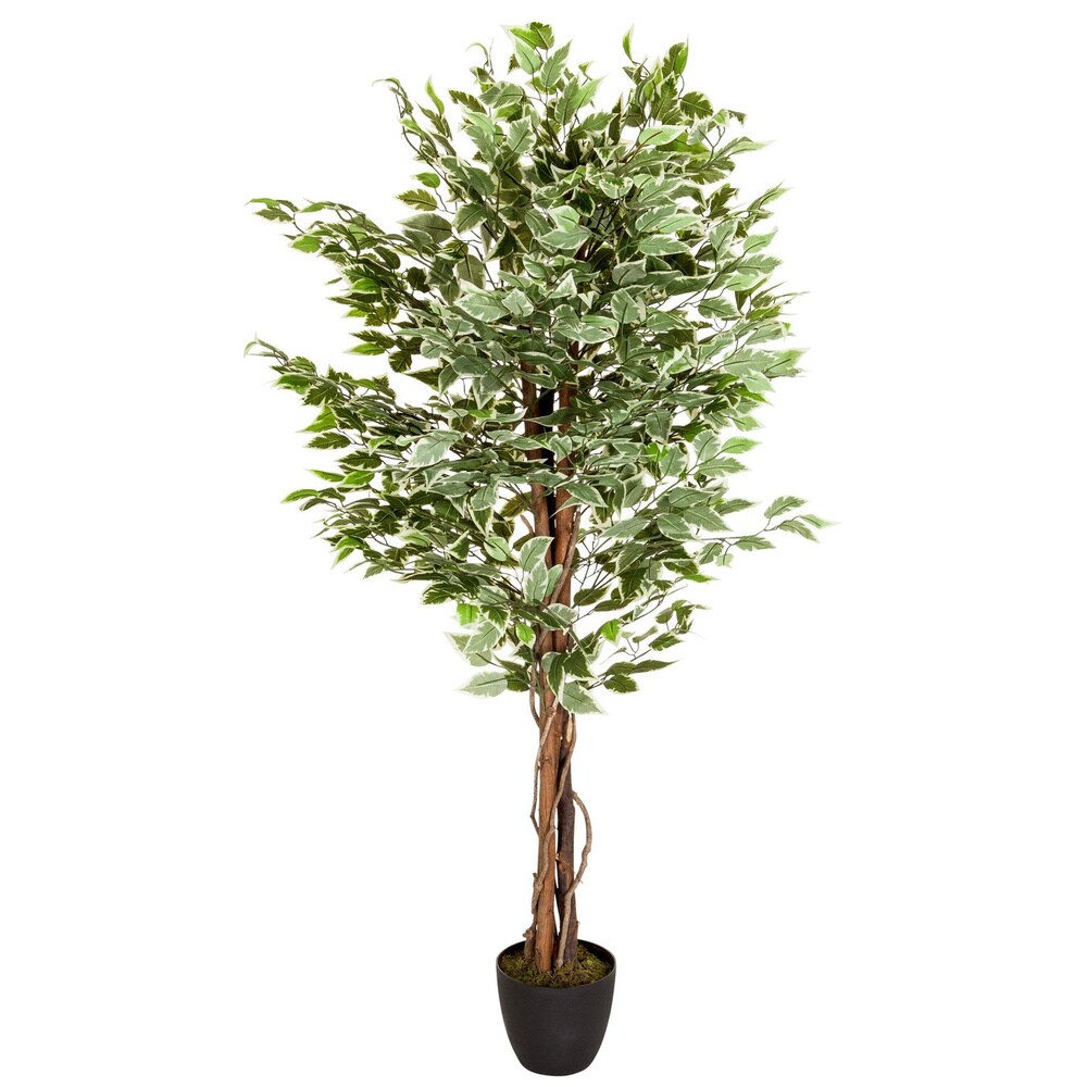 Kunstpflanze FICUS Kunststoff, Stoff hjh OFFICE