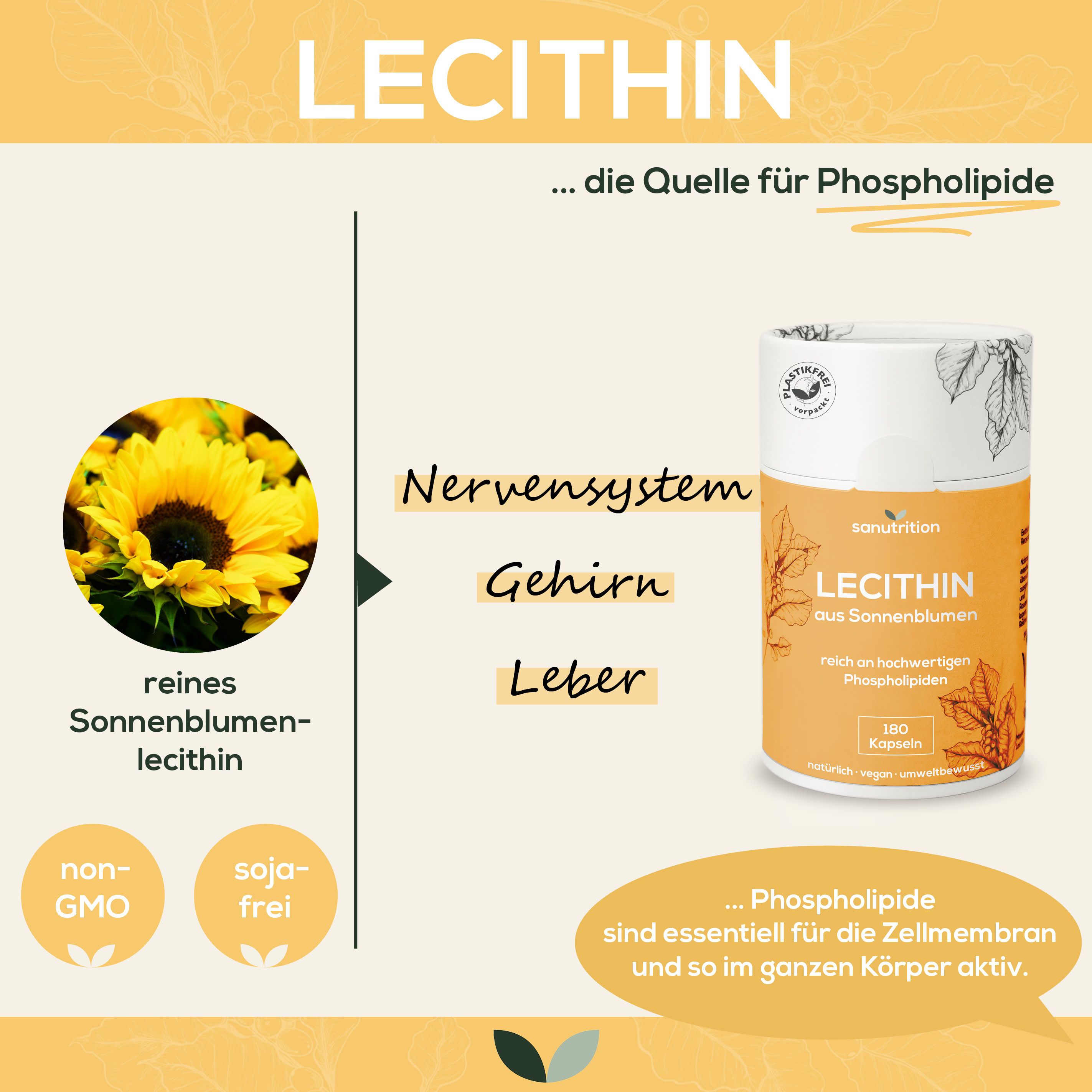 Sanutrition® - Lecithin aus Sonnenblumen 600 mg