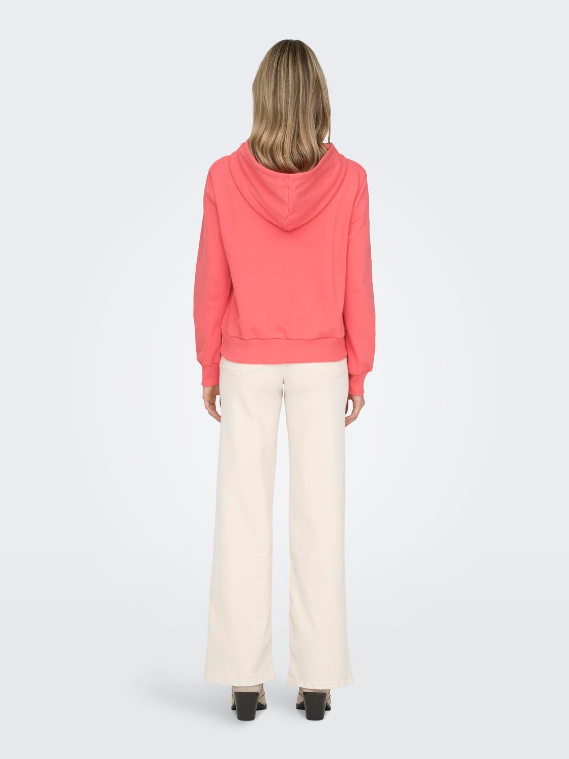 ONLNOLI Sweatshirt Dubarry