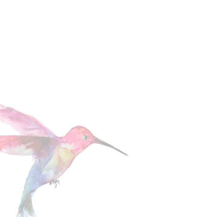 Verjaardagskaart | Michelle Dujardin | Vogels