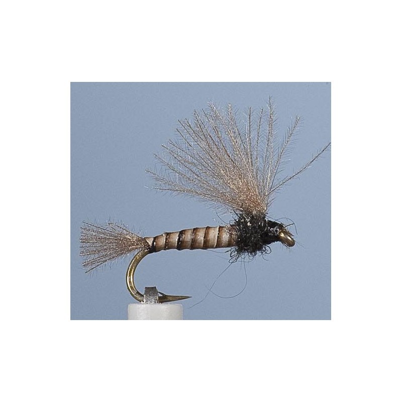Mouche Jmc Emergente Bm 6