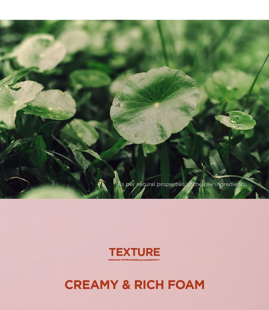 SKIN 1004 - Madagascar Centella Poremic Diep Reinigend Schuim