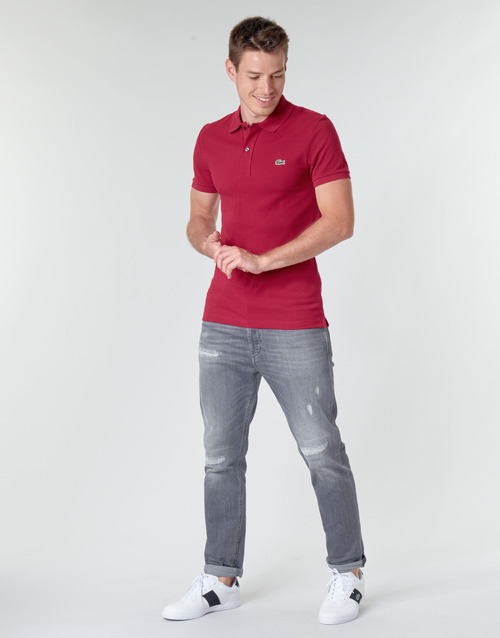 Lacoste - PH4012 SLIM - Bordeaux