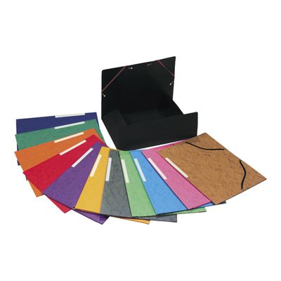 Exacompta Nature Future - 10 Chemises à 3 rabats - A4 - pour 250 feuilles - couleurs vives assorties