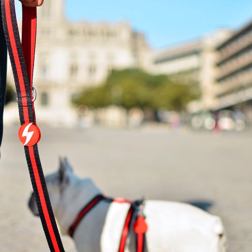 Guia para cães Dashi Stripes em poliéster vermelho e preto