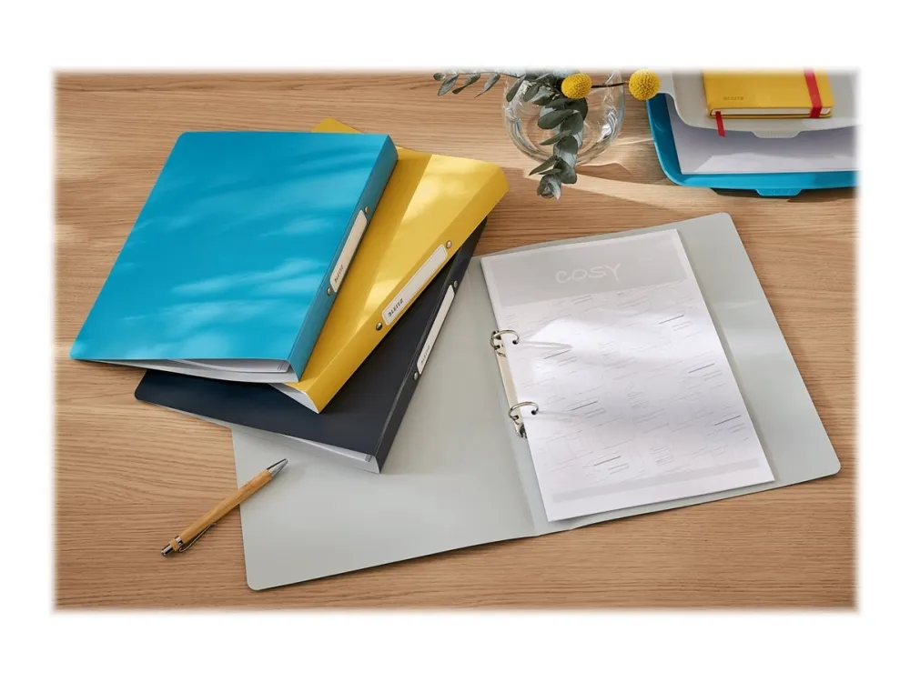 Leitz 180° 2-ringbind A4 30mm blå (sec6807187)