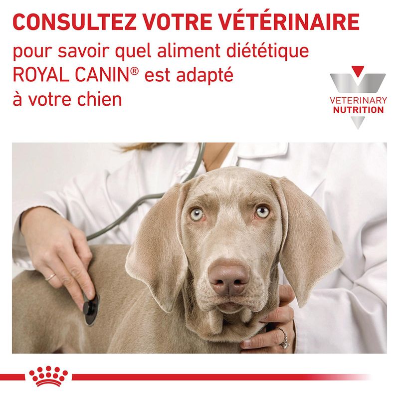 Royal Canin Veterinary Early Renal en sauce