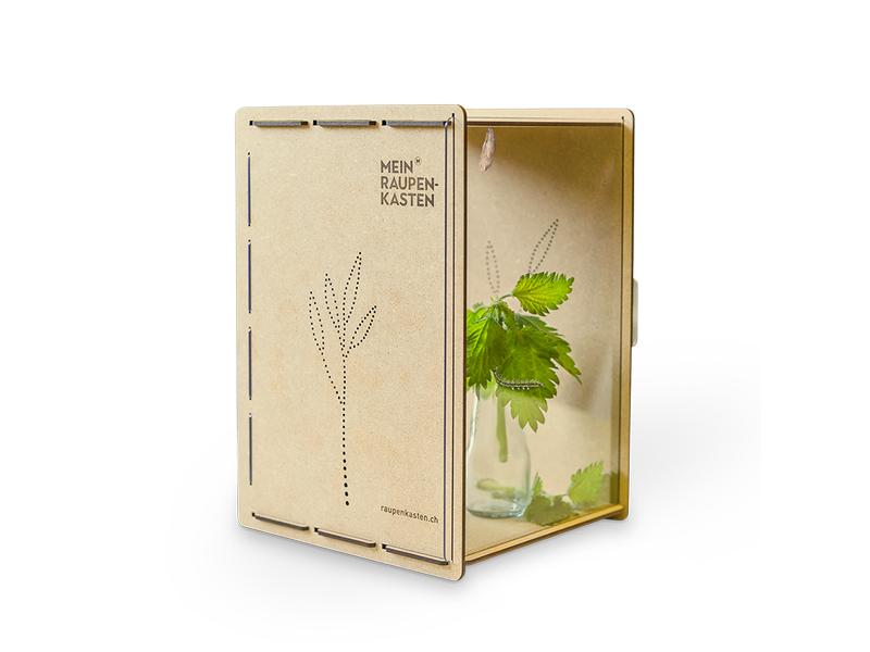 Mein Raupenkasten Insektenhotel Raupenkasten Aufzucht-Box