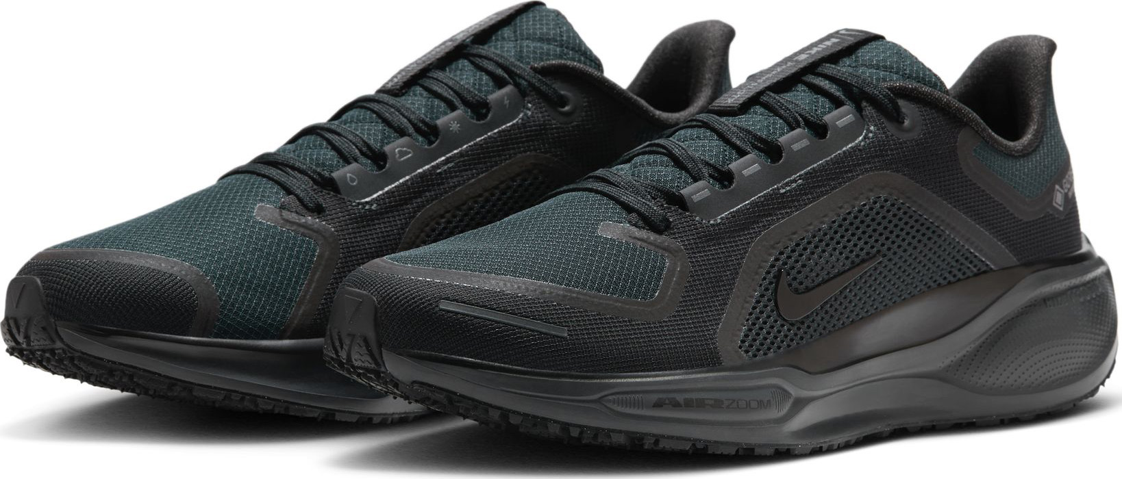 Pegasus 41 GORE-TEX Herre 001/Black/Black/Anthracite