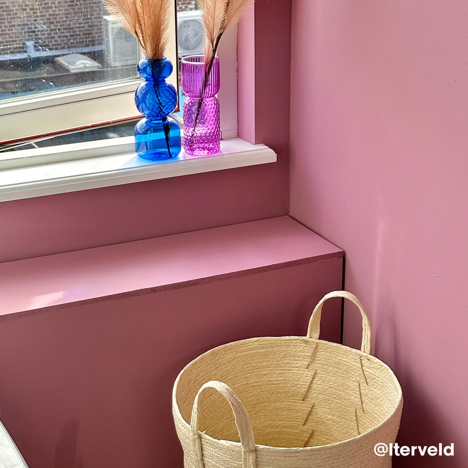 Muurverf Professional Misty Mauve 2.5 l