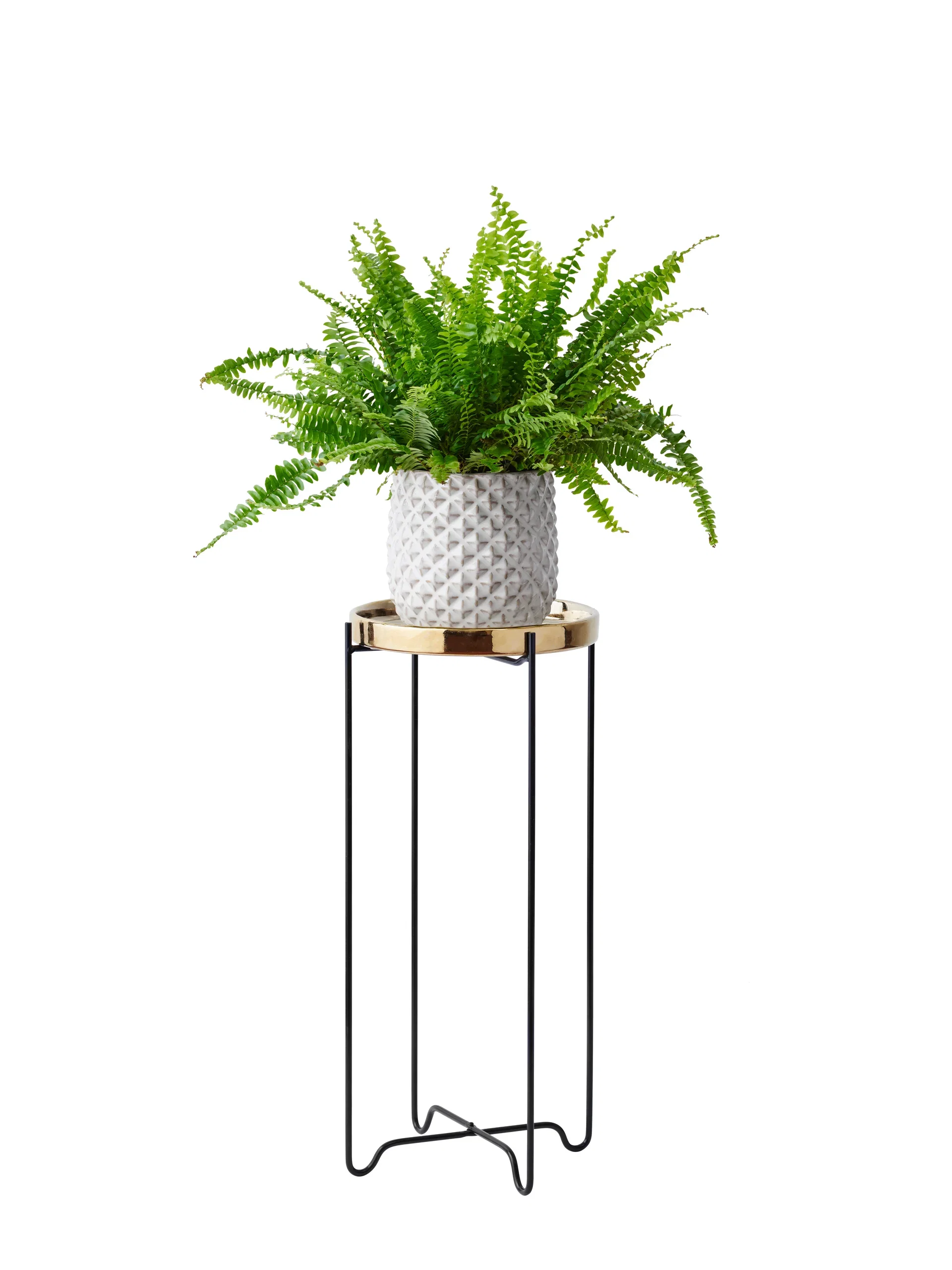 Pidestall Zoe Høyde 49 cm