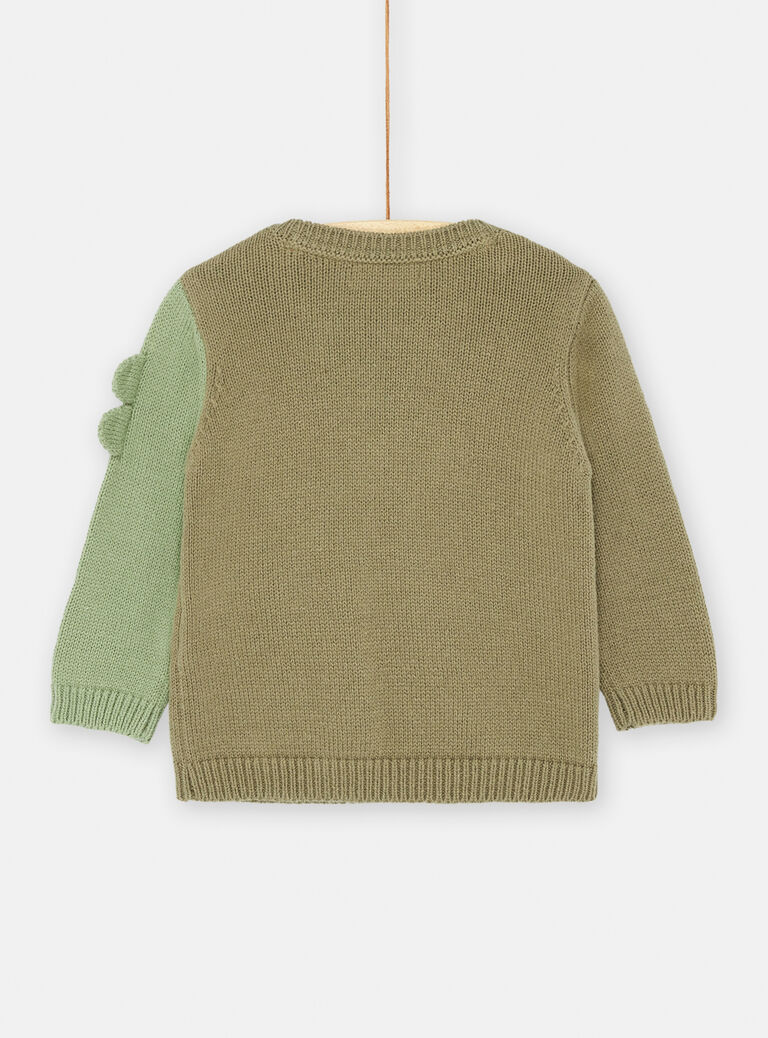 Pull vert animation dinosaure bébé garcçon