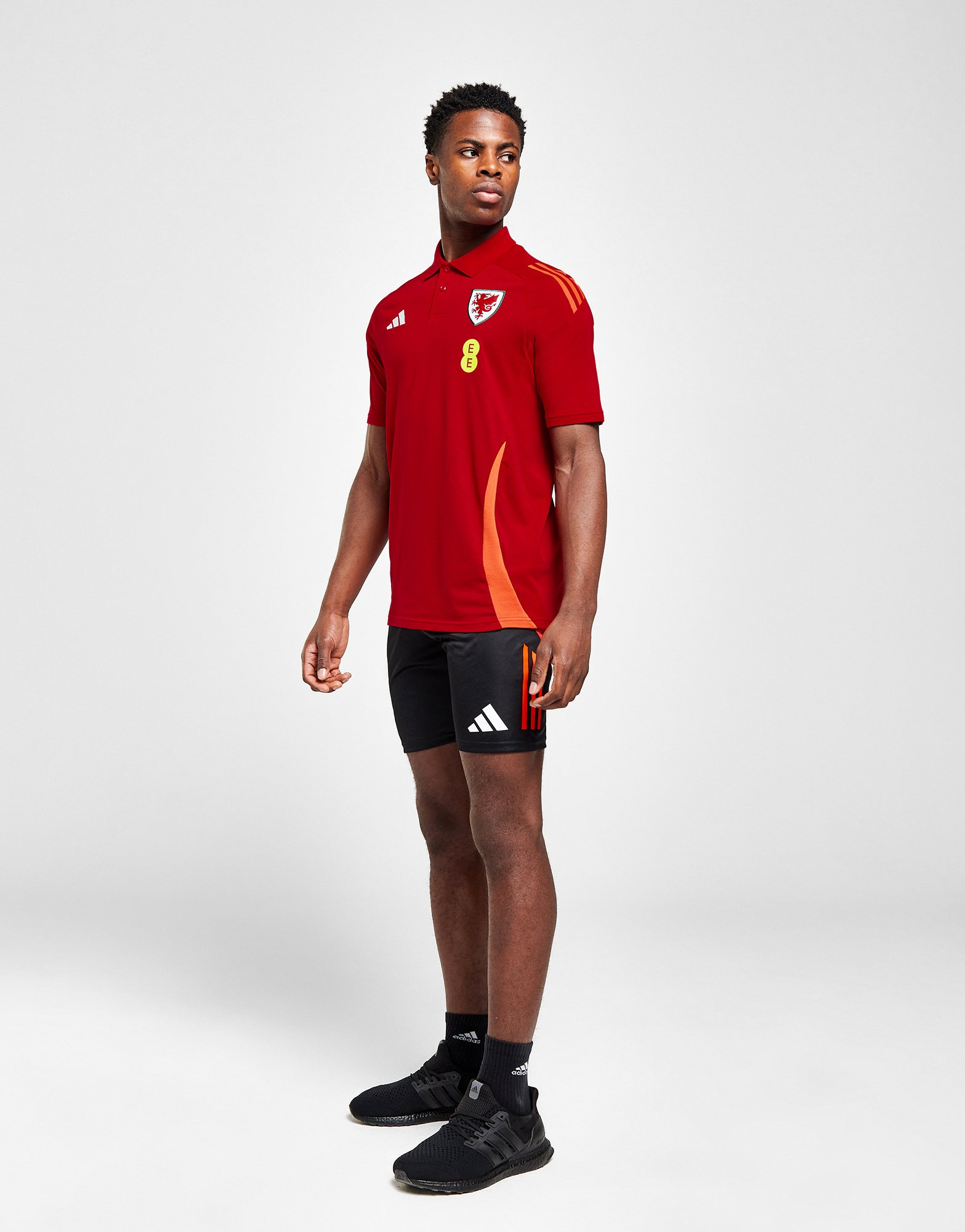 adidas Short d'entraînement Pays de Galles Tiro 24 Homme