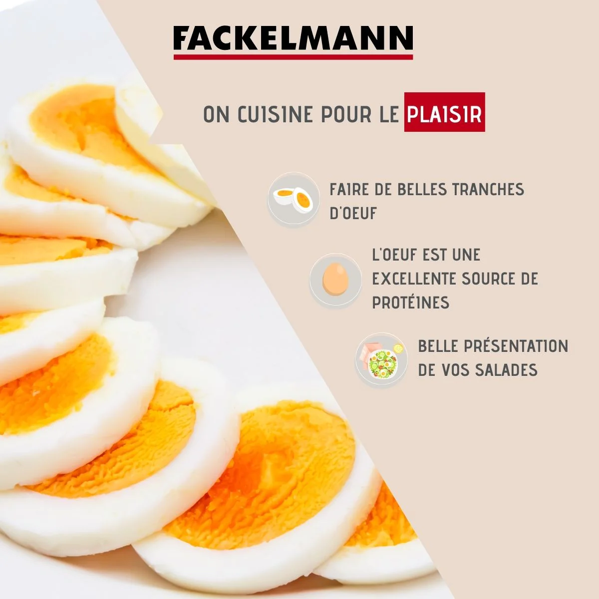 Coupe oeuf tranche en inox Divers FM Professional