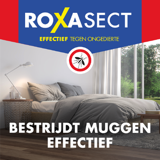Roxasect Voordeelpak Anti-Mug Stekker   2 Navullingen 2ST