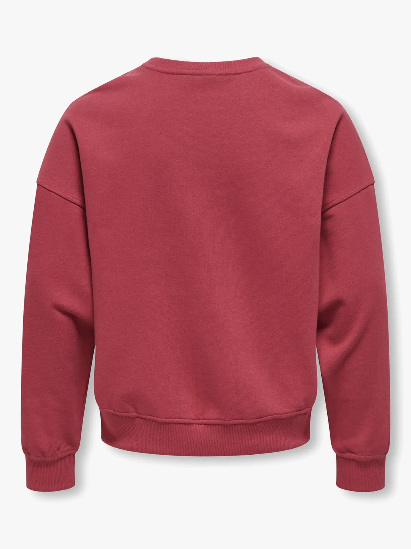 Philea Life Long Sleeve Ovzfruit Oneck Ubrushed Sweat
