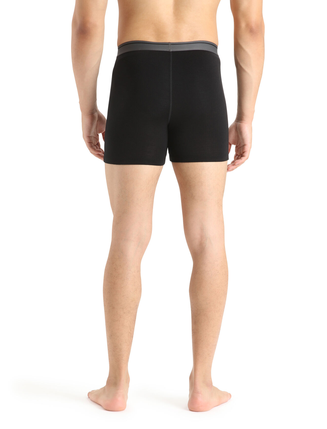 Icebreaker Anatomica Boxers M's
