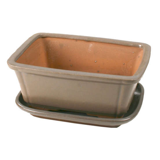 Poterie bonsaï + soucoupe, en terre cuite émaillée L. 21 x l. 16 cm