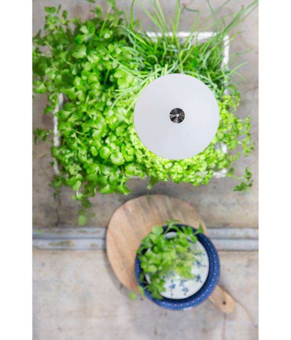 Venso LED-Pflanzenlampe