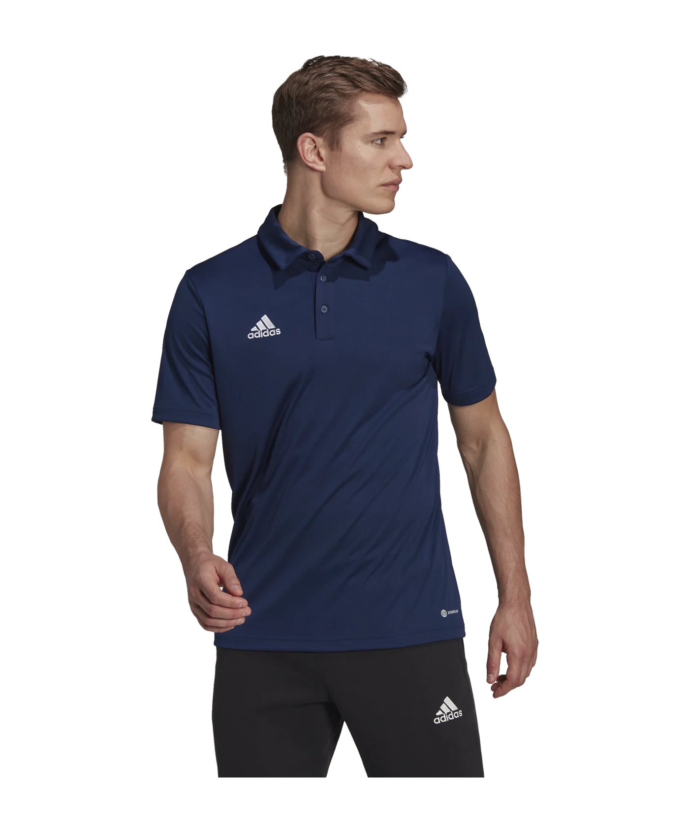 adidas Entrada 22 Poloshirt Blau